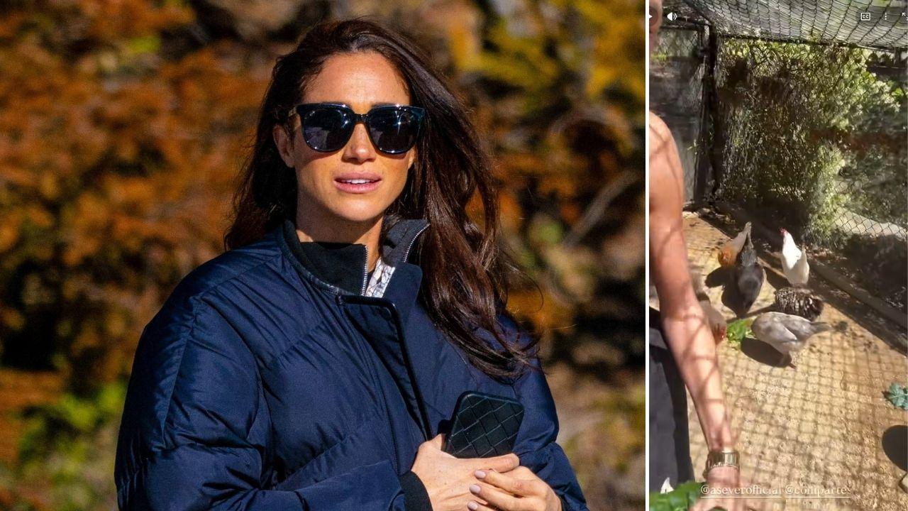Photo of Meghan Markle and her rescue chickens