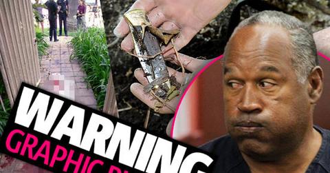 //oj simpson murder weapon knife pp